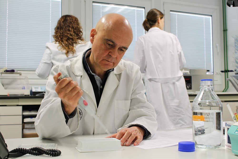 José Juan Gaforio. Catedrático de Inmunología de la Universidad de Jaén e Investigador responsable del estudio