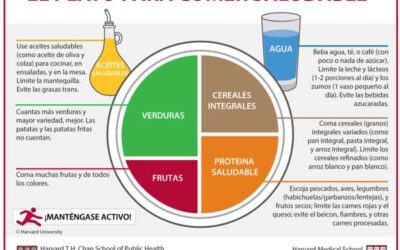 Cuidar nuestra salud con una alimentación sana que incluye al aceite de oliva